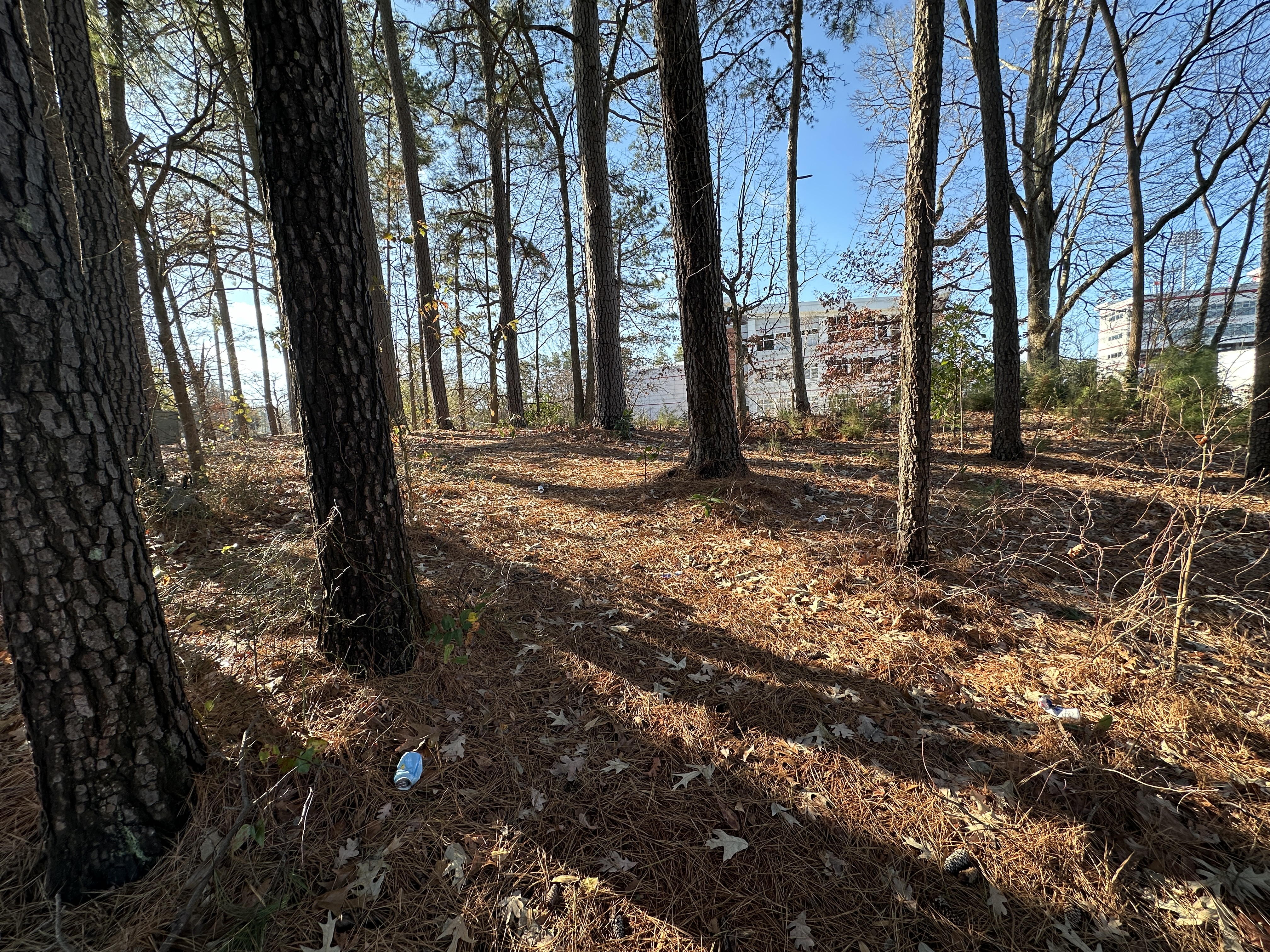 Lincolnville Cemetery #2- Former Site