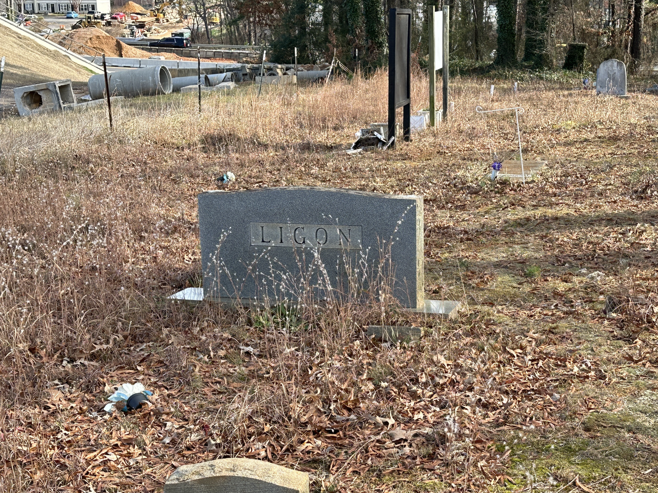 Ligon family headstone