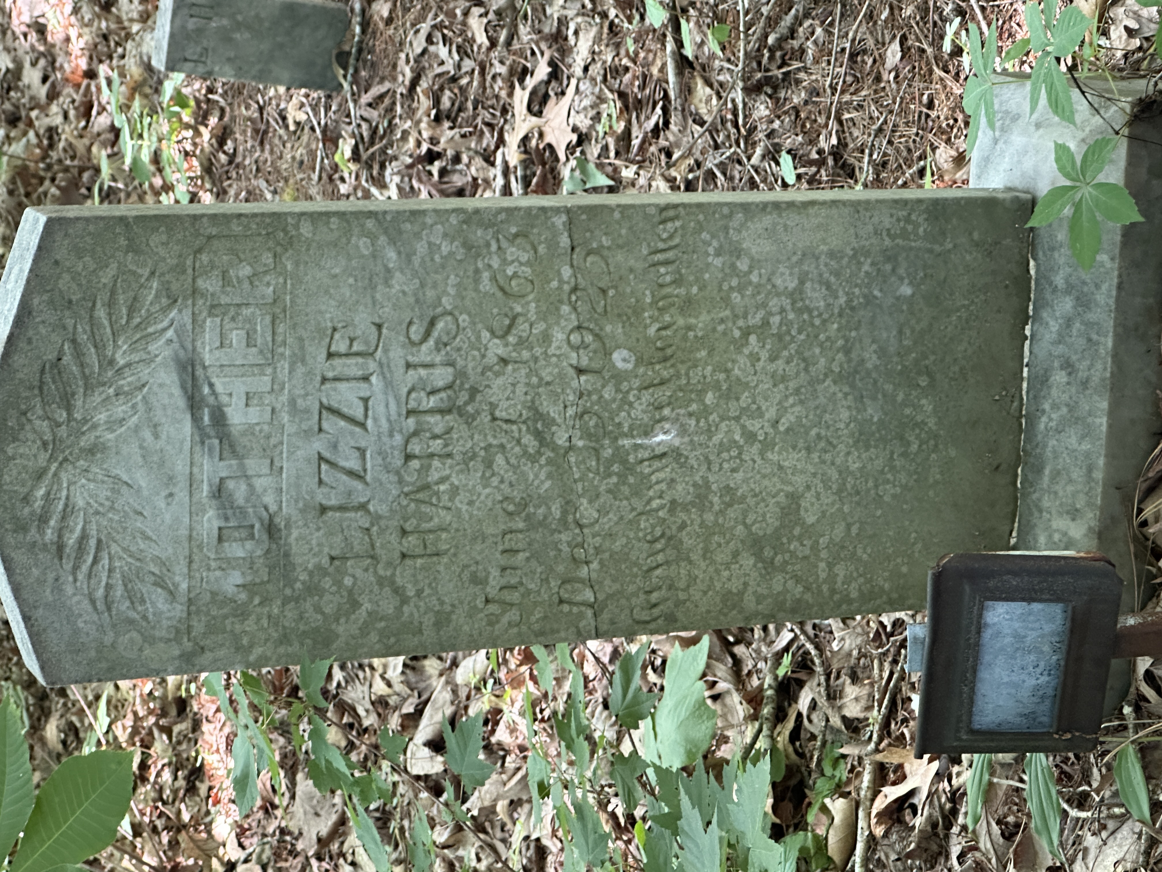 Headstone of Lizzie Harris and funeral marker of Ruffian Booze