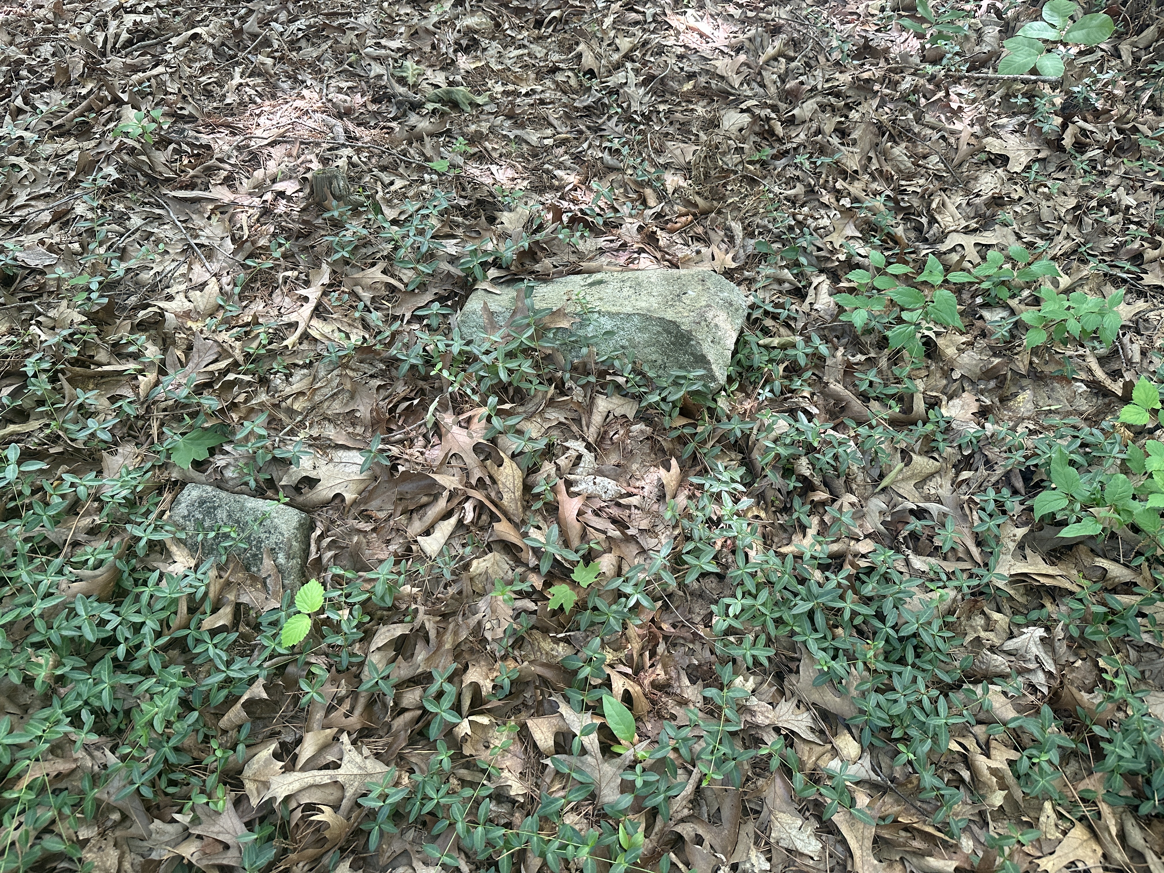 Unknown fieldstone