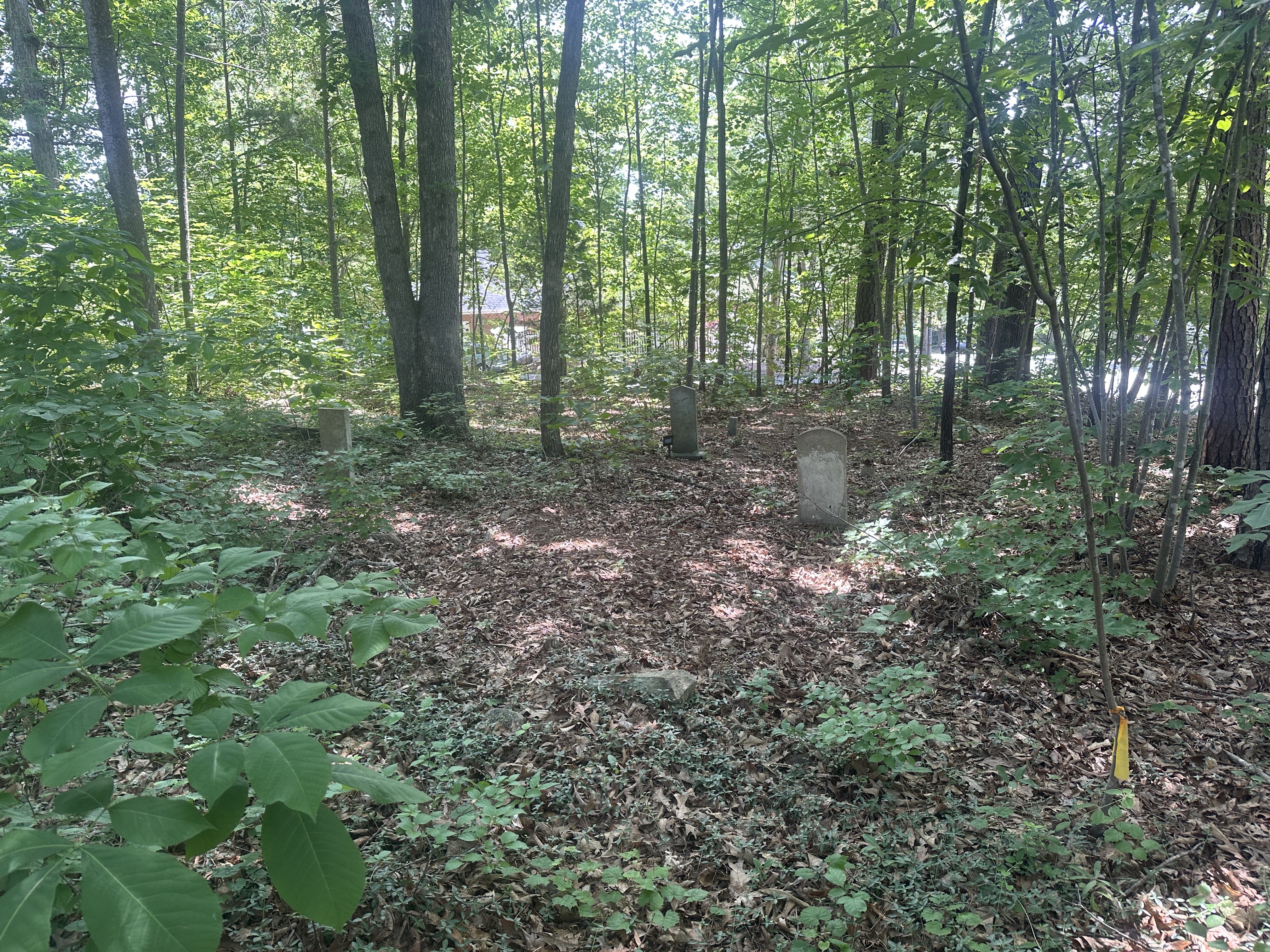 Long shot of the Purefoy cemetery (Black)
